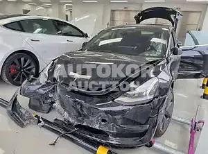 2020, Tesla / Model 3, VIN: 5YJ3E1EBXLF726016, electric, 225 куб.см.