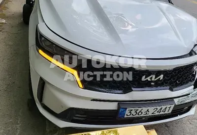 2022, Kia / Sorento, VIN: KNARL81GBNA106902, 1000 км., hybrid