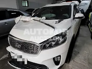 2019, Kia / Sorento, VIN: KNAPS81BBLA570113, 223049 км., diesel, 1999 куб.см.