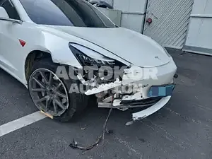 2019, Tesla / Model 3, VIN: 5YJ3E1EB7LF585194, electric, 925 куб.см.