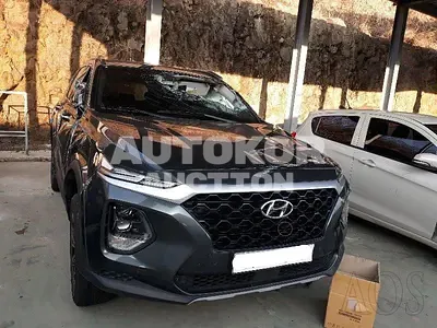 2019, Hyundai / Santa FE, VIN: KMHS281BBKU115236, 115483 км., diesel