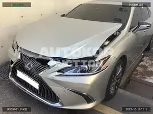2020, Lexus / ES 300, VIN: JTHB21B10L2082740, hybrid