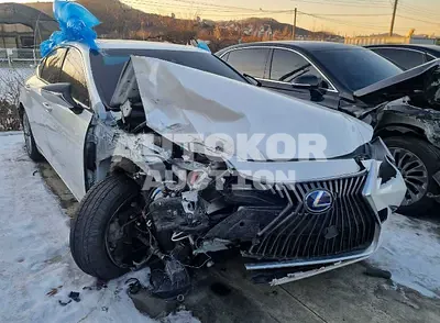 2021, Lexus / ES 300, VIN: JTHBA1C14M2005937, hybrid