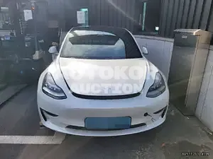2020, Tesla / Model 3, VIN: 5YJ3E1EA5LF756516, 12000 км., electric