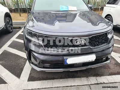 2021, Kia / Sorento, VIN: KNARK81GBMA012344, 65273 км., hybrid