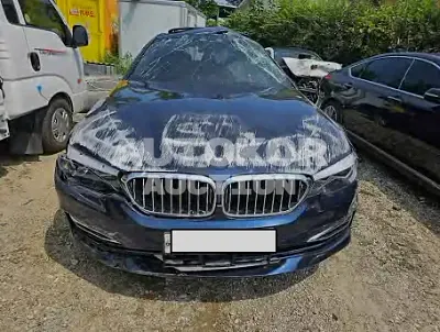 2020, BMW / 520, VIN: WBAJK9102LCD68054, 65027 км., gas