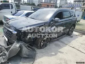 2020, Hyundai / Santa FE, VIN: KMHS381CBLU305091, diesel