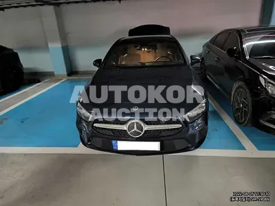 2021, Mercedes-Benz / A 220, VIN: W1K3G4EB3MJ272266, 42669 км., gas