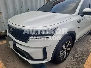2020, Kia / Sorento, VIN: KNARL81BGMA074326, 28569 км., diesel, 2151 куб.см.