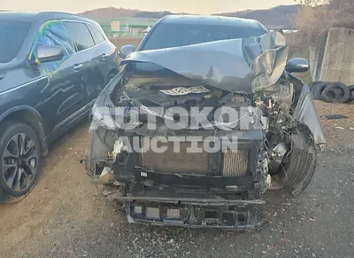 2020, Hyundai / Santa FE, VIN: KMKMHS281BBLU2313, diesel
