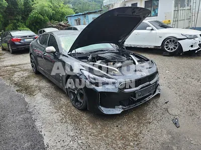 2018, Kia / Stinger, VIN: KNAE351BDJS001668, diesel