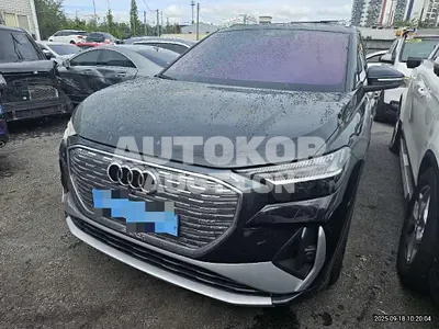 2025, Audi / e-tron, 1680 км., electric