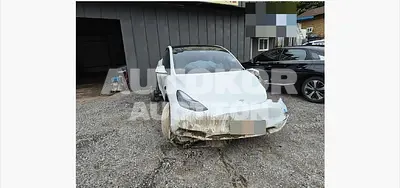 2024, Tesla / Model Y, VIN: LRWYGCFS4RC564848, 60071 км., electric, 173 куб.см.