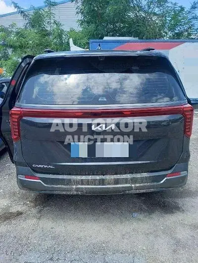 2024, Kia / Carnival, diesel, 2200 куб.см.