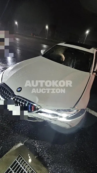 2020, BMW / 330, 87000 км., hybrid, 1998 куб.см.