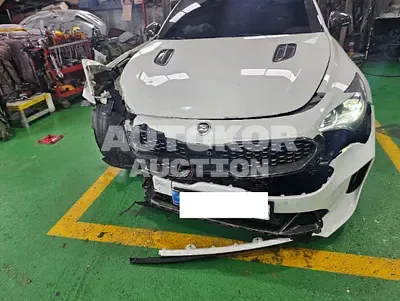 2018, Kia / Stinger, VIN: KNAE751CDJS032305, 118287 км., gas, 3300 куб.см.