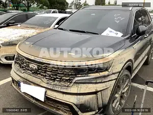 2020, Kia / Sorento, VIN: KNARL81BGMA055224, diesel
