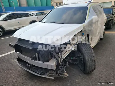 2021, Hyundai / Santa FE, VIN: KMHS581HGMU325409, diesel