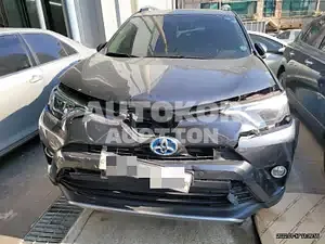 2018, Toyota / RAV4, VIN: JTMDJREV2JD254231, 58229 км., hybrid