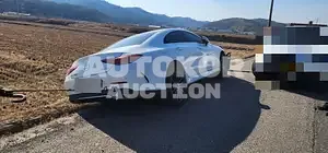 2019, Mercedes-Benz / CLS 450, VIN: WDD2J5KB0KA046108, gas
