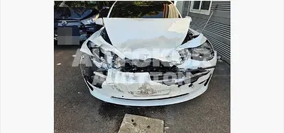 2020, Tesla / Model 3, 102828 км., electric, 225 куб.см.