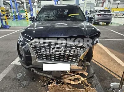 2019, Hyundai / Palisade, VIN: KMHR381ABKU021007, 130077 км., diesel, 2200 куб.см.