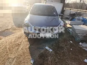 2015, BMW / Z1, VIN: KNAFJ412BFA929554, 40899 км., gas
