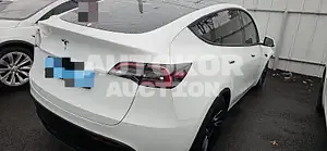 2023, Tesla / Model Y, VIN: LRWYGCFS0PC075506, 4002 км., electric, 173 куб.см.