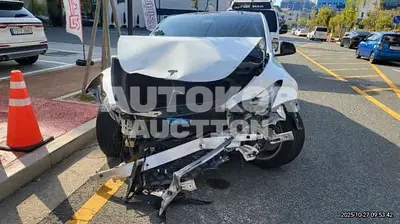 2024, Tesla / Model Y, VIN: LRWYGCFS6RC416149, 33522 км., electric