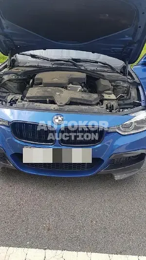 2018, BMW / 320, 70000 км., gas, 1997 куб.см.