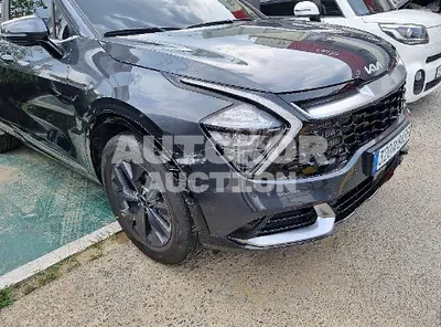 2022, Kia / Sportage, VIN: KNAPY81BGNK027589, 6253 км., gas