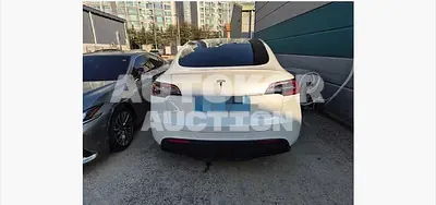 2021, Tesla / Model Y, 233482 км., electric, 236 куб.см.