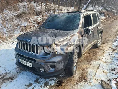 2021, Jeep / Renegade, VIN: 1C4NJCDB1MPM72849, gas