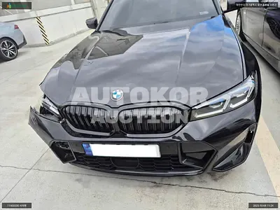 2024, BMW / 320, VIN: WBA11FF0XSFT66332, gas