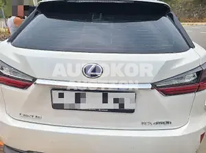 2019, Lexus / RX 450, hybrid