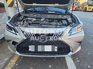 2019, Lexus / ES 300, VIN: JTHB21B10K2042575, 75304 км., hybrid