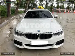 2017, BMW / 530, VIN: WBAJD9100JWC10897, gas