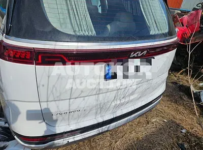 2023, Kia / Carnival, VIN: KNANE81BBPS385587, diesel, 2200 куб.см.