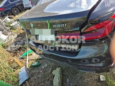 2017, BMW / 530, 60000 км., gas, 1998 куб.см.