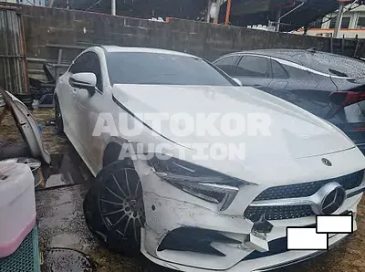 2019, Mercedes-Benz / CLS 400, VIN: WDD2J2DB8KA011005, 102812 км., diesel
