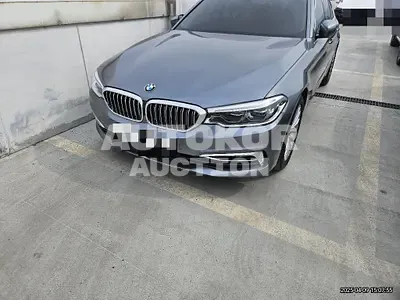 2019, BMW / 530, 29827 км., gas
