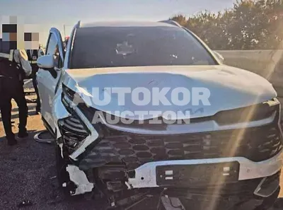 2023, Kia / Sportage, hybrid
