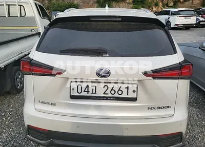 2018, Lexus / NX 300, VIN: JTJBJRBZ6J2079876, hybrid