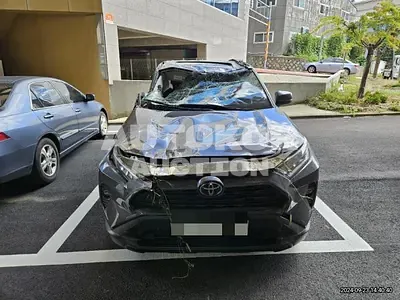 2019, Toyota / RAV4, gas
