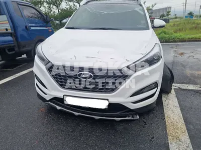 2017, Hyundai / Tucson, VIN: KMHJ3812GHU286305, 52077 км., gas