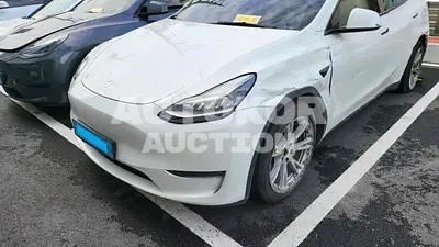 2022, Tesla / Model Y, VIN: 7SAYGDEE2NF498188, 106246 км., electric, 1 куб.см.