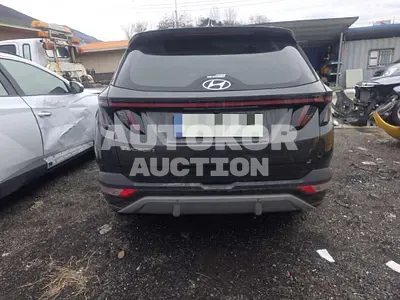 2021, Hyundai / Tucson, 101172 км., gas, 1600 куб.см.