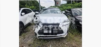 2015, Lexus / nx300h, 166393 км., hybrid, 2494 куб.см.