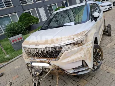 2021, Kia / Carnival, VIN: KNANE81BBMS046395, 40000 км., diesel