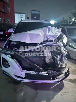2019, Hyundai / Santa FE, VIN: KMHS281BBLU228038, diesel